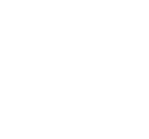 JR Lightning Logo White